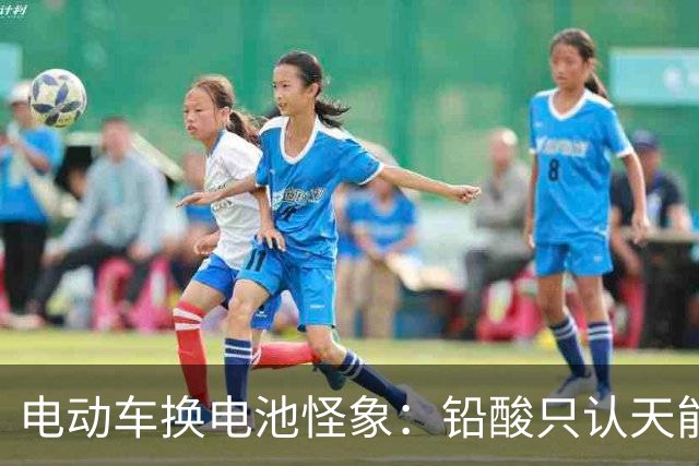 电动车换电池怪象：铅酸只认天能、超威，锂电为什么几乎没人选？